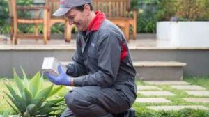termite inspection