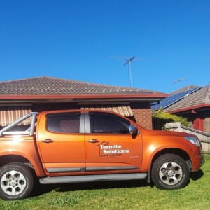 mr termite solution