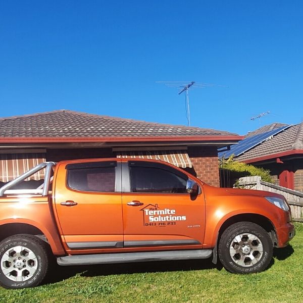 mr termite solution