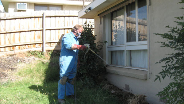 Pest Control Melbourne
