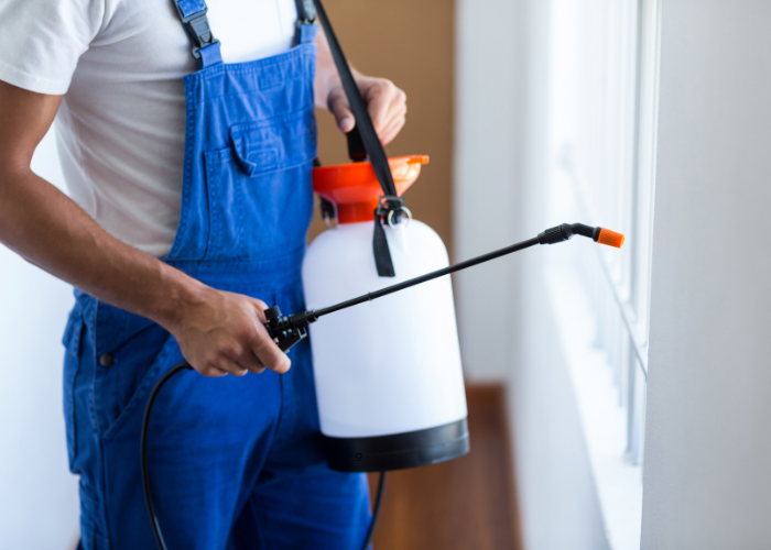 Pest Control Bundoora