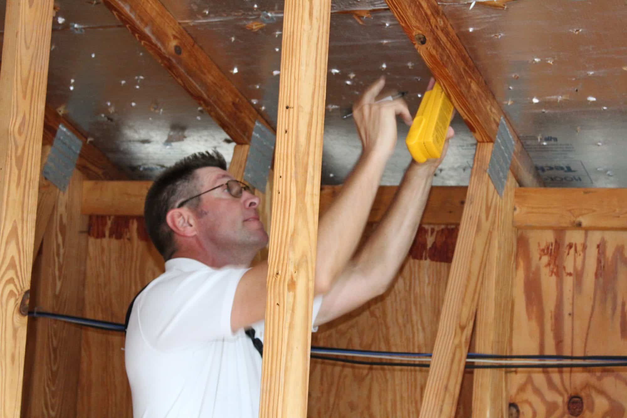 Termite Inspection Mill Park