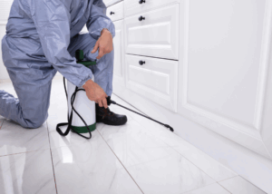 Pest Control Mill Park